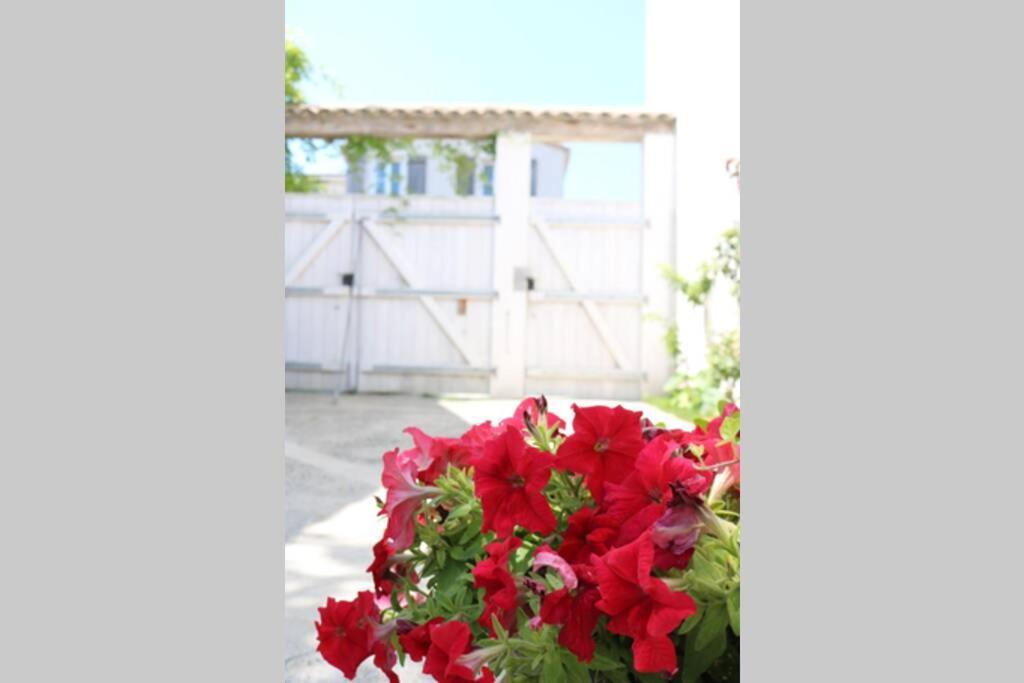 La Virginie - Suite Ile'Ô La Couarde-sur-Mer Exterior foto